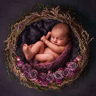 Baby & Newborn Fotografie Preise